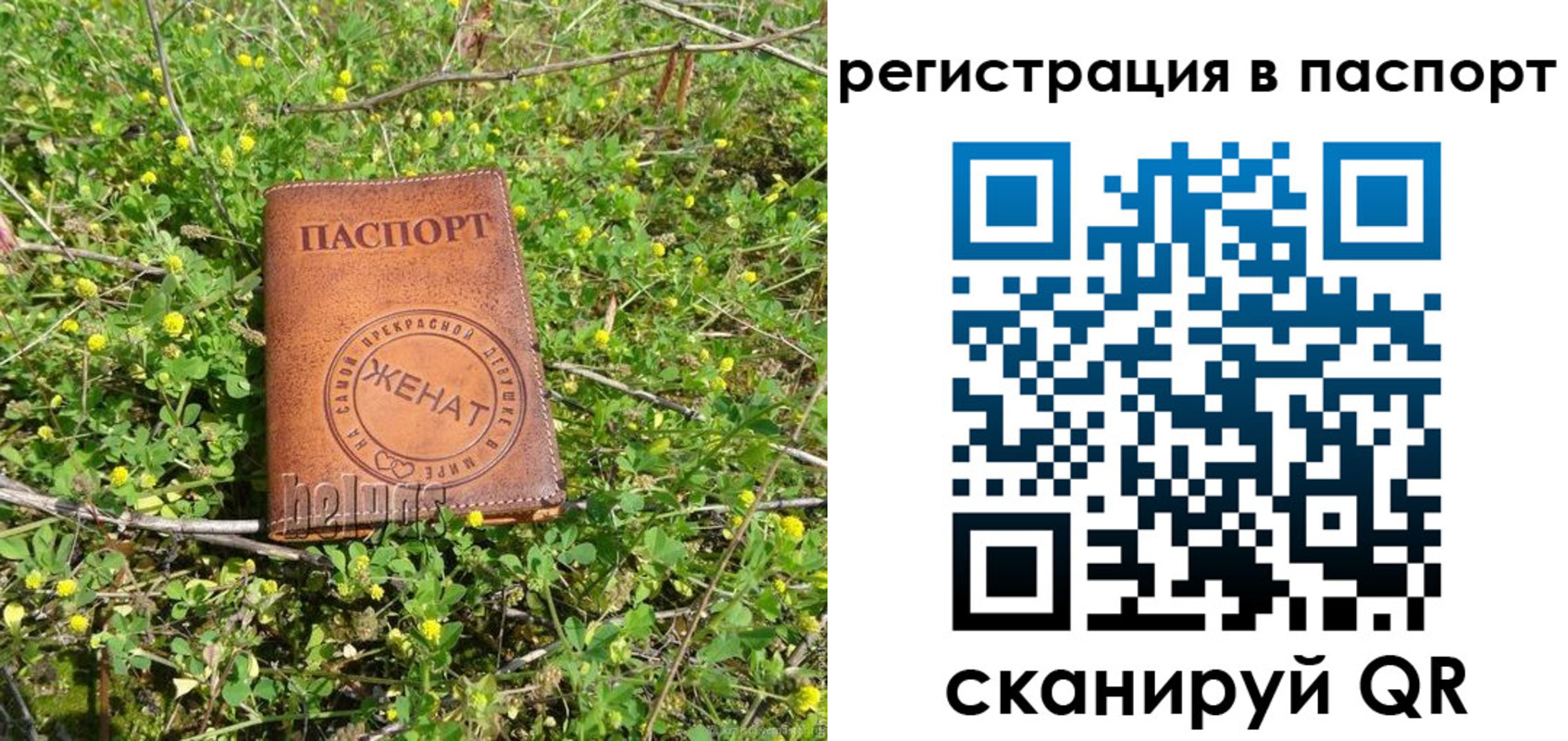 прописка для кредита в Ленинградской области
